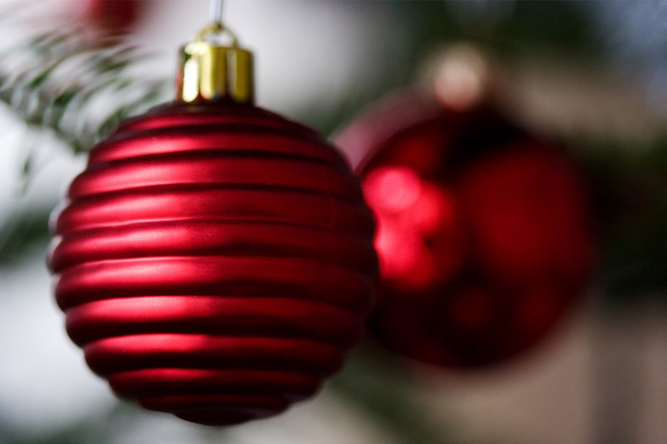MTT Winter Newsletter